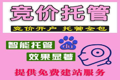 百度推广的定向广告投放策略